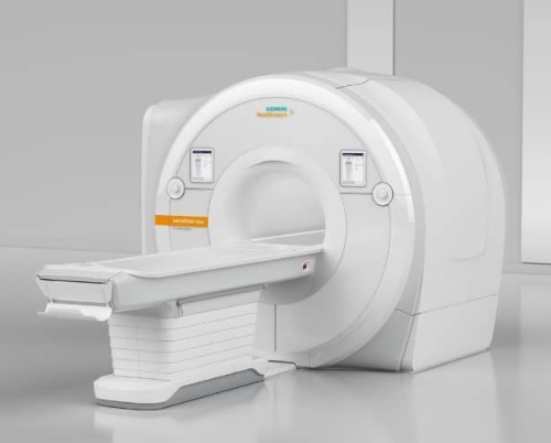 MRI 사진