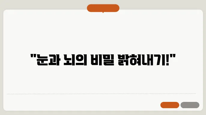 시각신경과학/