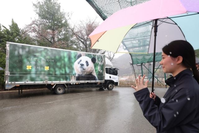 푸바오 반환 에버랜드 떠나는날 환송식 생중계 중국 소식 정리