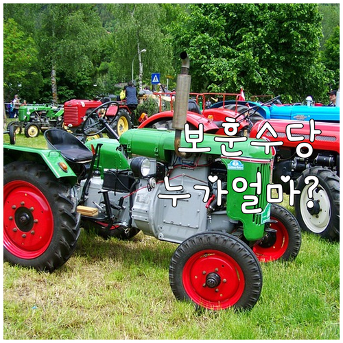 2025 종로구 보훈예우수당: 누가,..