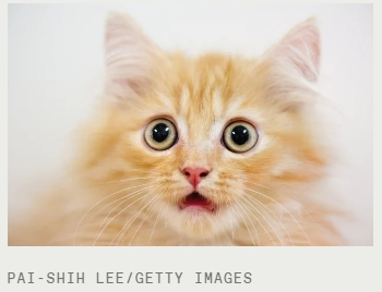 2023년은 AI 역사에서 가장 극적인&nbsp;해 : GPT-4 Just Calm Down About GPT-4 Already