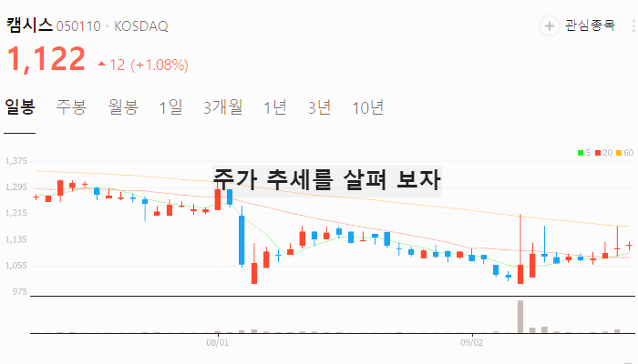 자율주행 관련주 TOP5 : 테슬라