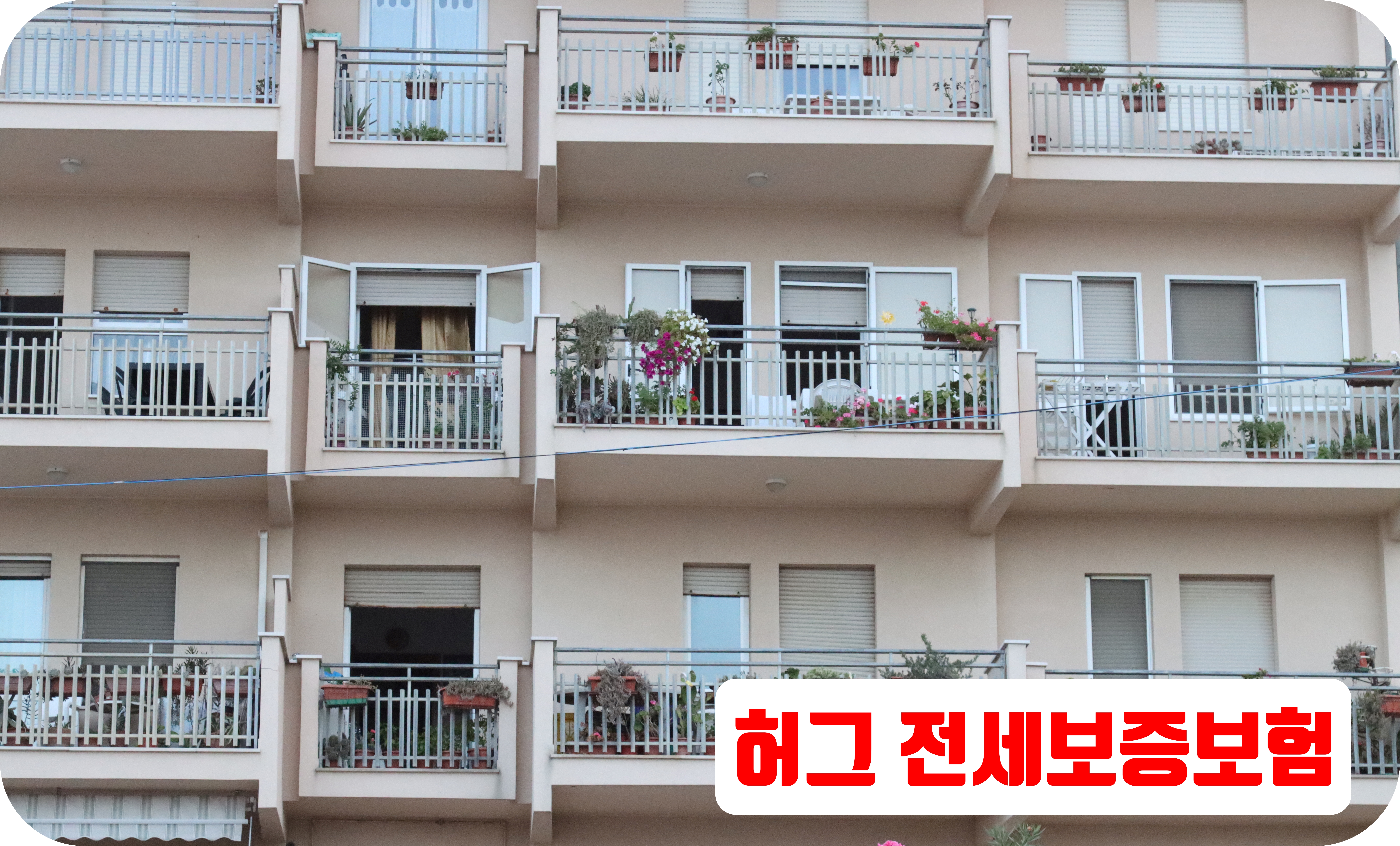 허그 전세보증보험