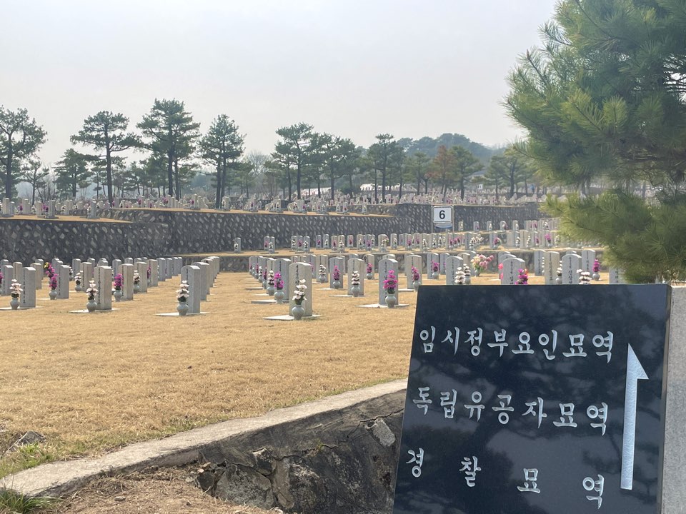 벚꽃