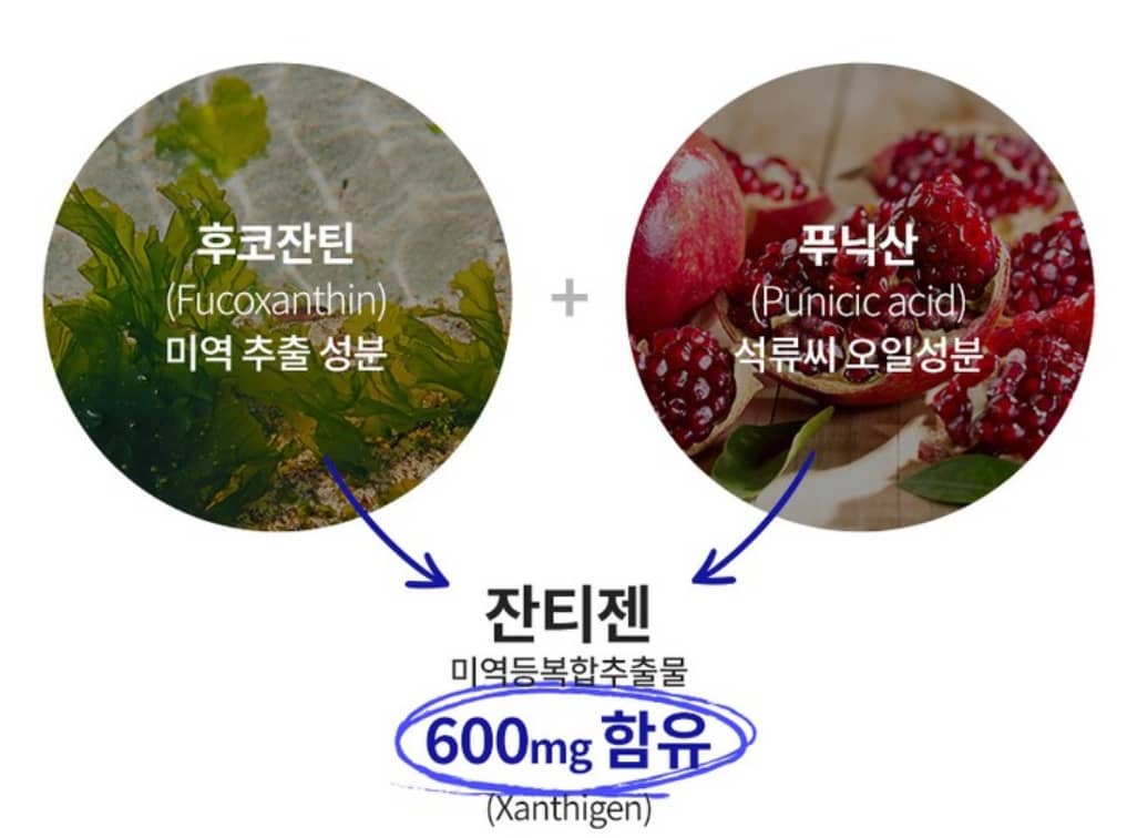 푸응 나이트버닝 이미지