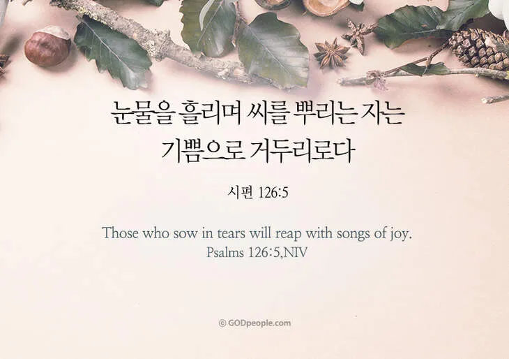 시편 126편 5 6절 씨뿌리는 자_3
