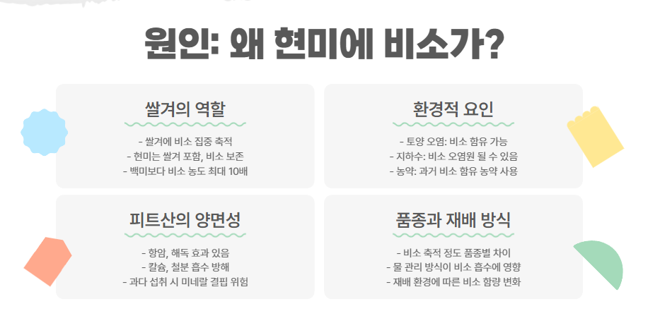 왜 현미에 비소가?