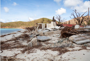 청와대 관람신청 예약방법