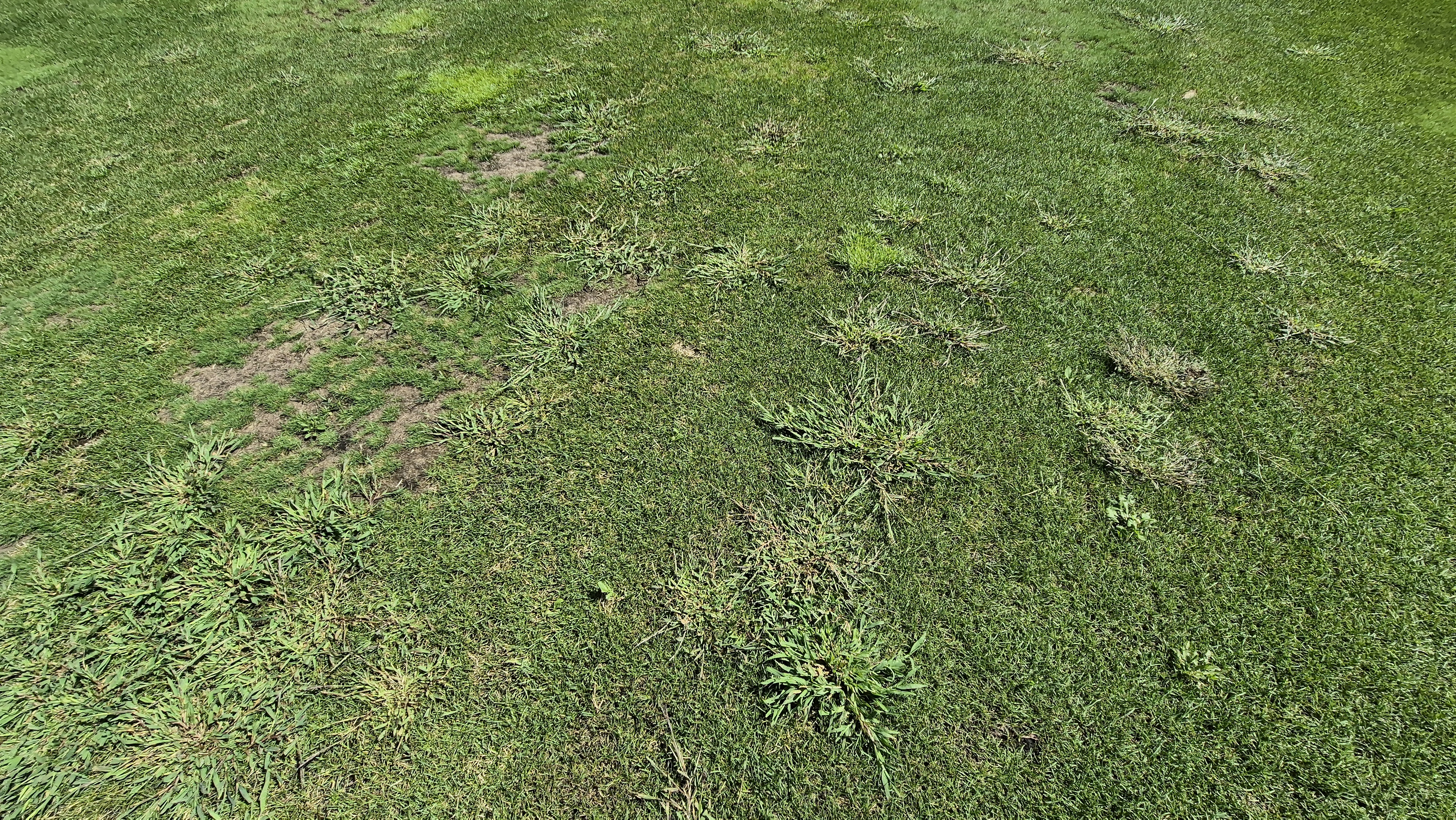 마론cc 라운드 후기