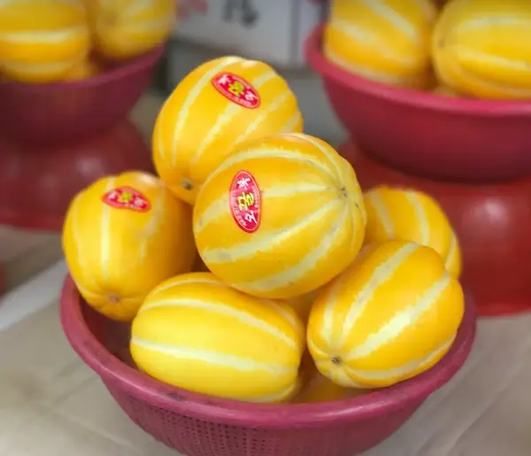 참외 가격 성주참외농장직거래 10kg 효능, 장아찌담그는법 알아보기