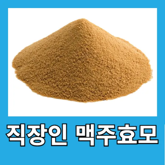 직장인 탈모 맥주효모 성분 효과 효능 부작용