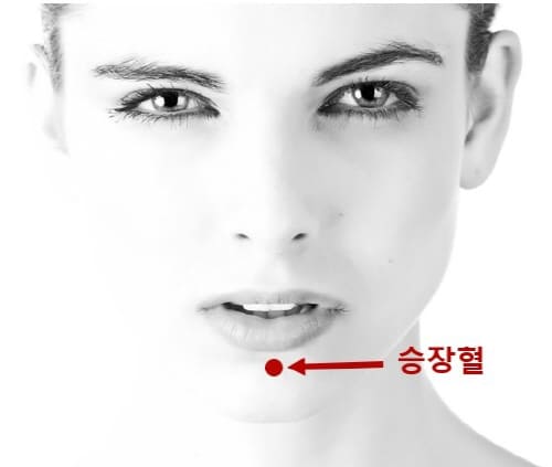 부기에-도움이되는-혈자리-승장혈