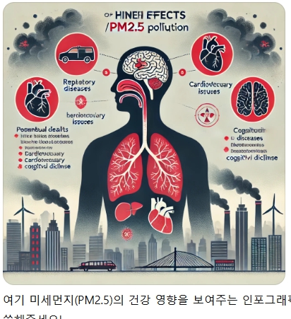 미세먼지 인체피해