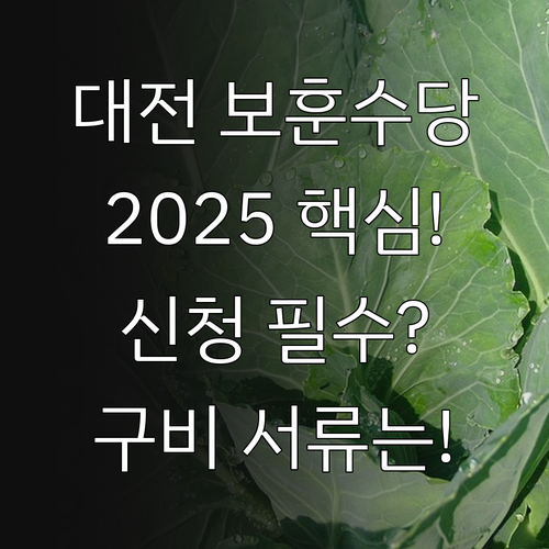 대전 보훈예우수당 2025 신청 자격..