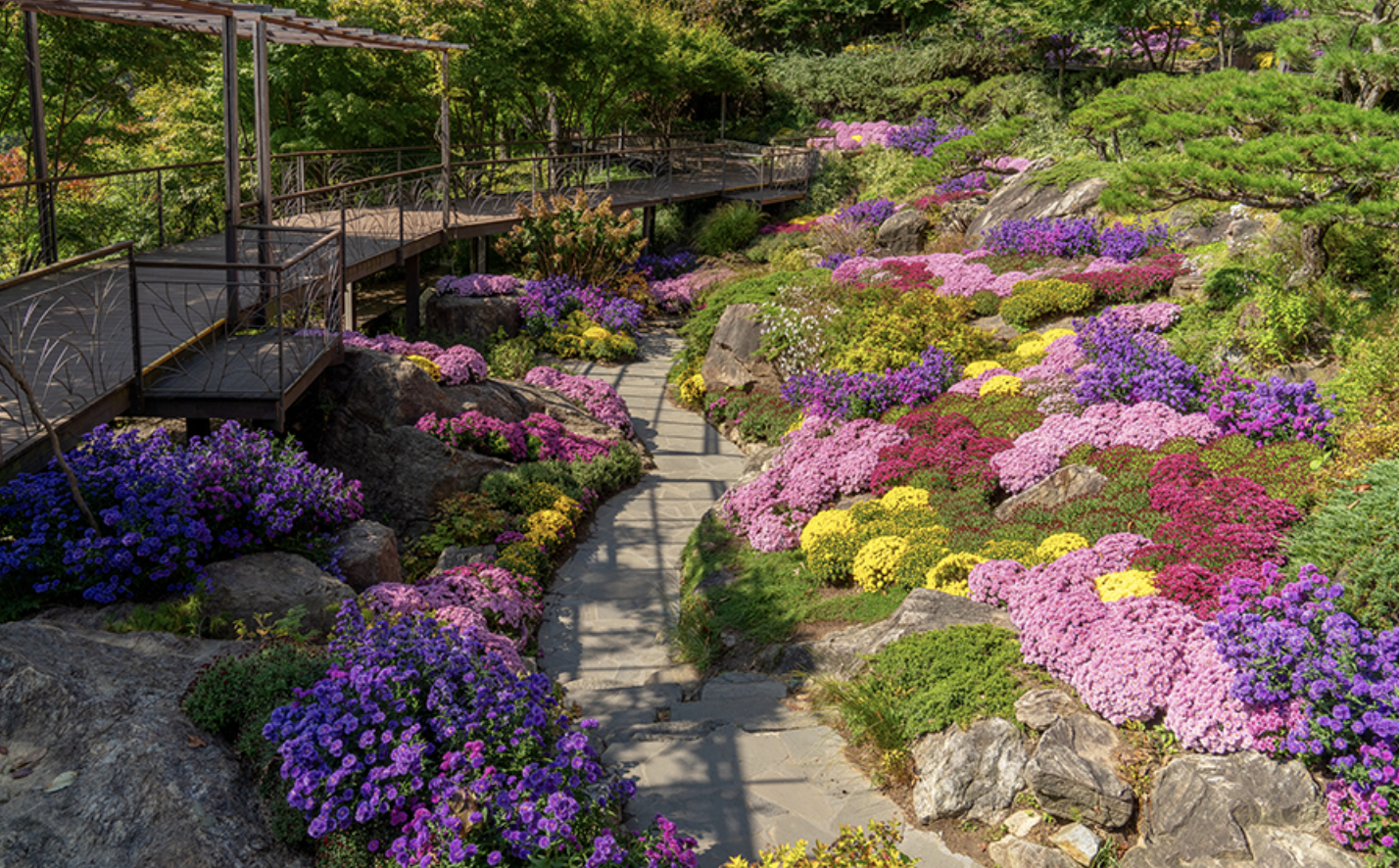 화담숲 화담채 모노레일 사전 예약, 할인받고 예매 하기