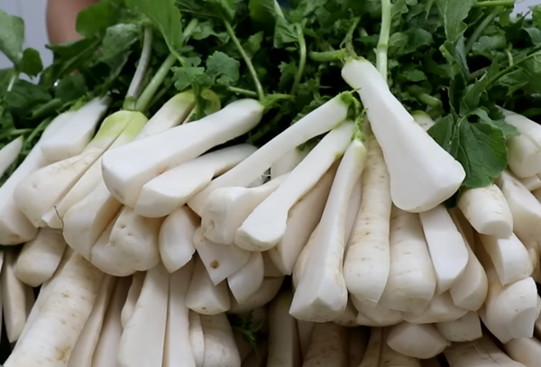 총각김치 맛있게 담그기 썸네일