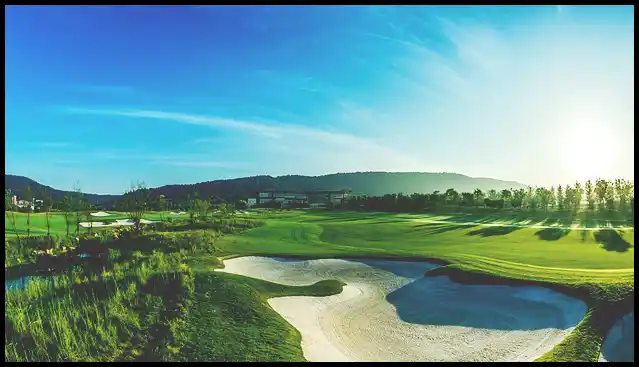 파크골프채 가격 추천 (혼마, 피닉스, 미즈노)