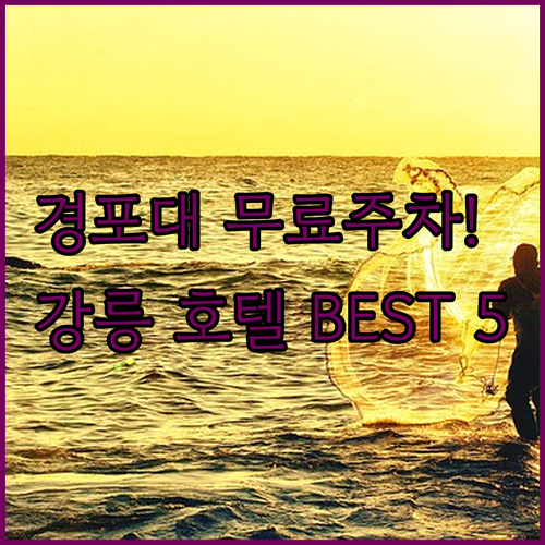 경포대 주차 걱정 없는 무료 주차장 ..