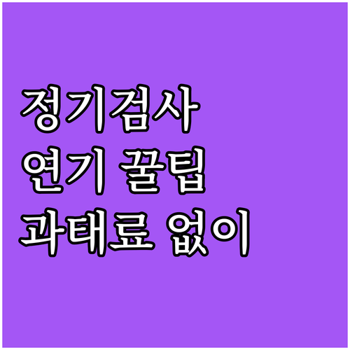 자동차 정기검사 연기 방법: 과태료 ..
