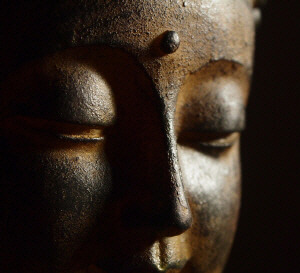 스트레스 생리학 (8) 부교감신경 활성화 방법, 스트레스 해소 음식