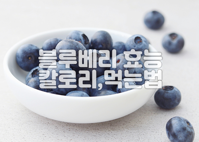흰접시에 블루베리가 놓여져 있다