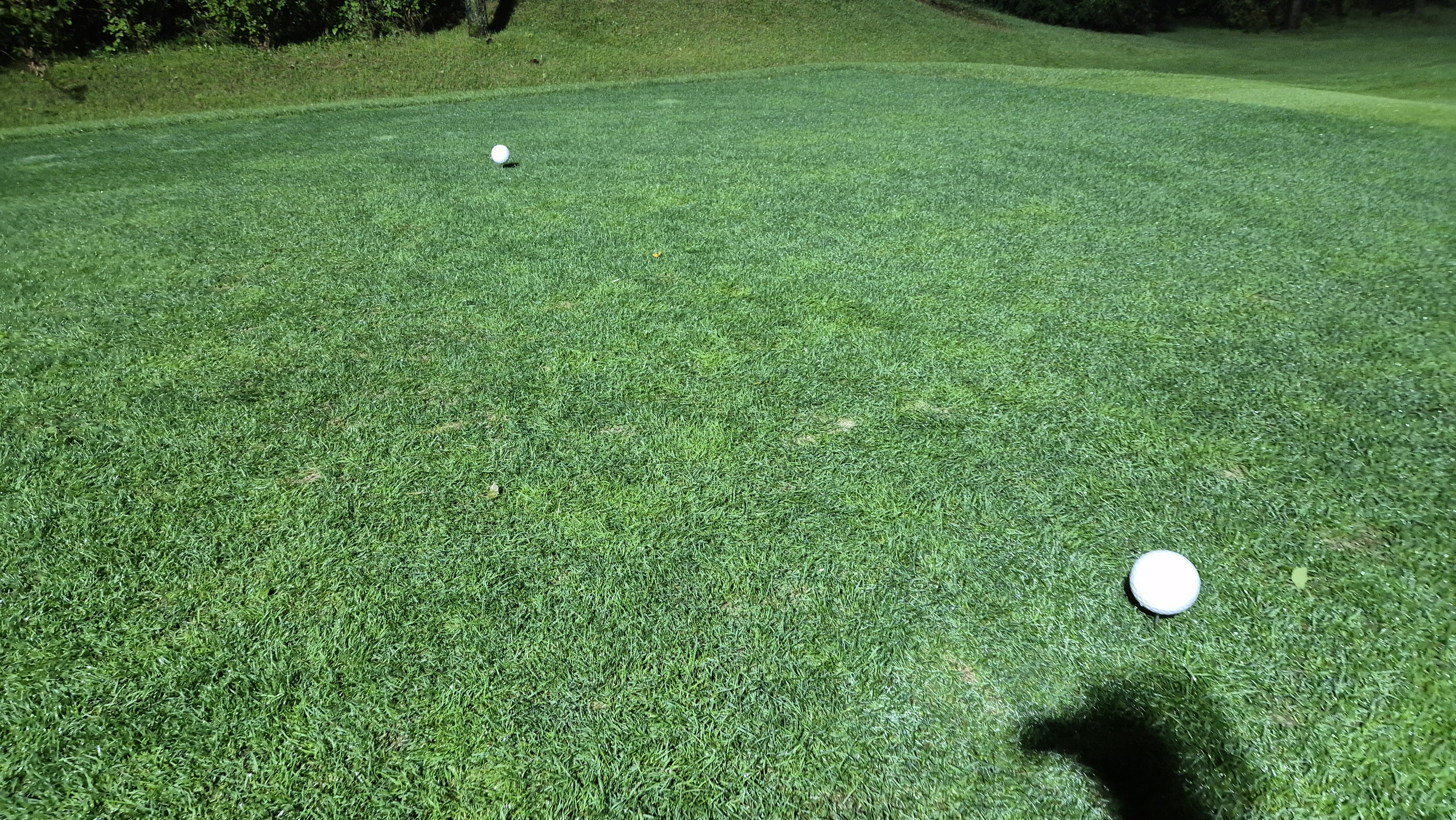 블루원용인cc 티잉구역상태