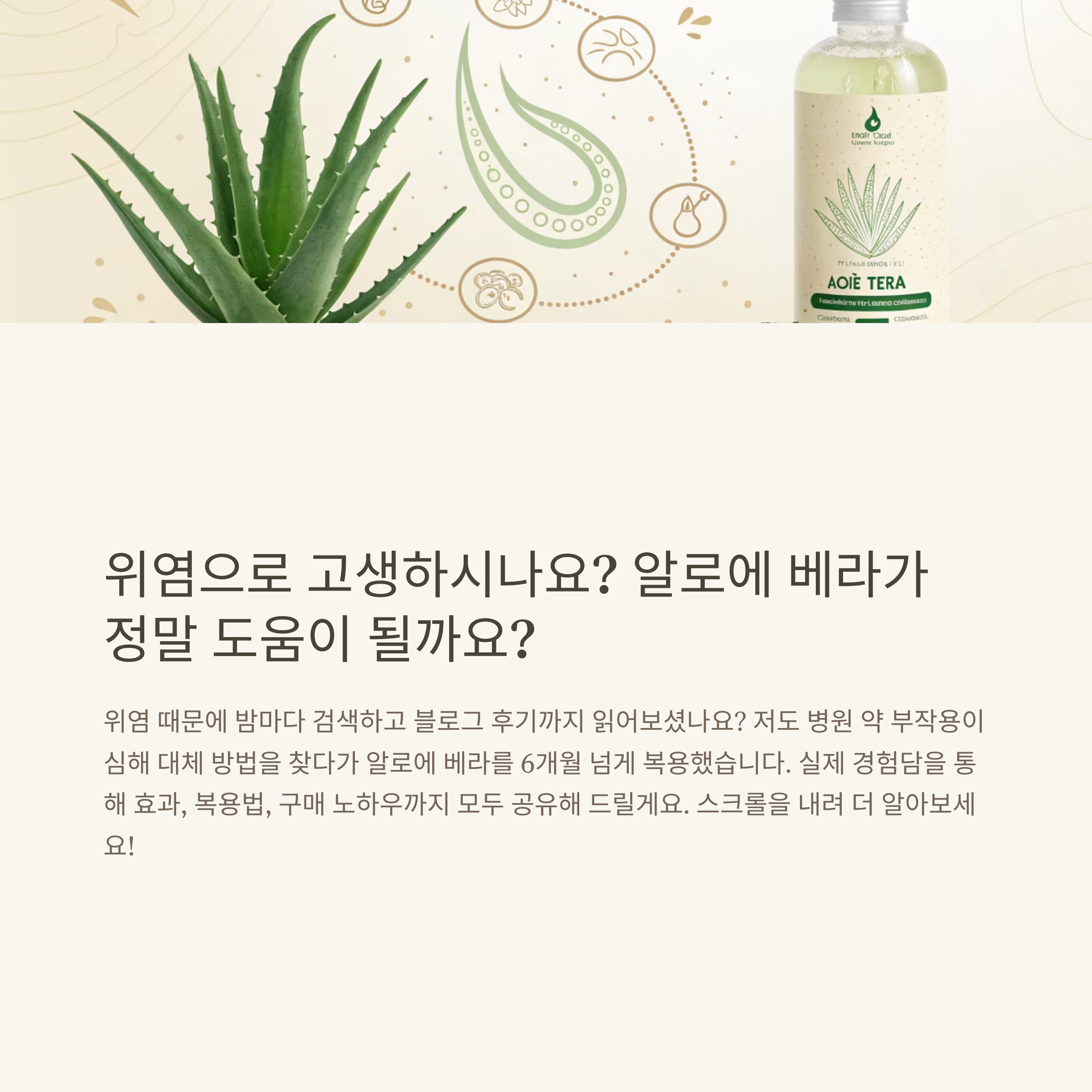 알로에 베라 먹고 위염 깨끗하게 나은 솔직 후기 – 실제 섭취 방법과 효과 공개