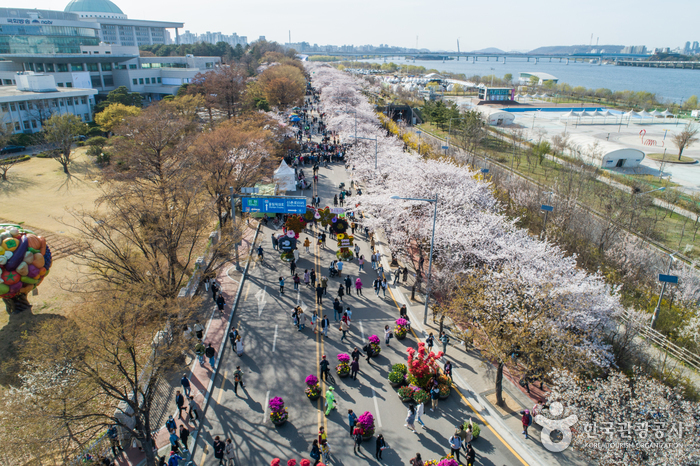 여의도 벚꽃축제 즐길거리 