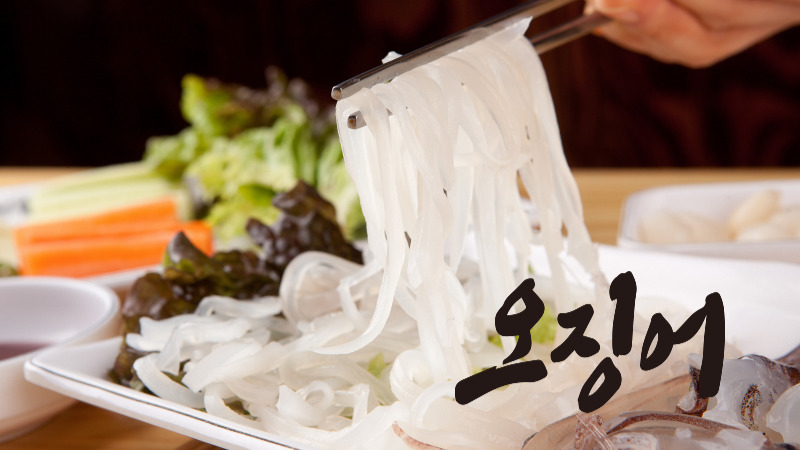 여름 제철 오징어회 물회