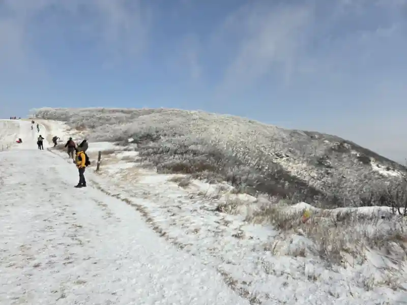 겨울 산길 발자국 흔적