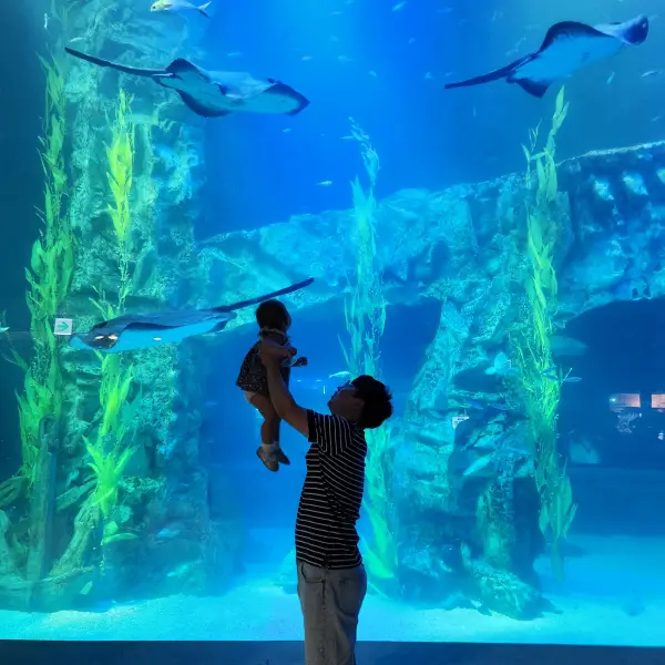 아쿠아리움