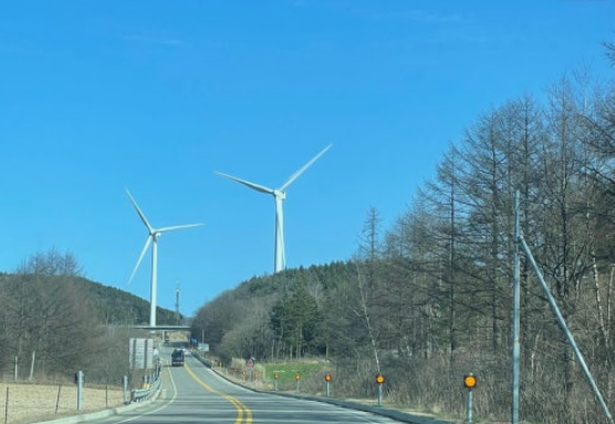 대관령 도로 사진