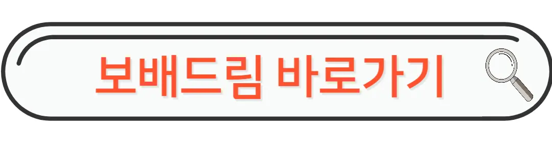 보배드림 바로가기