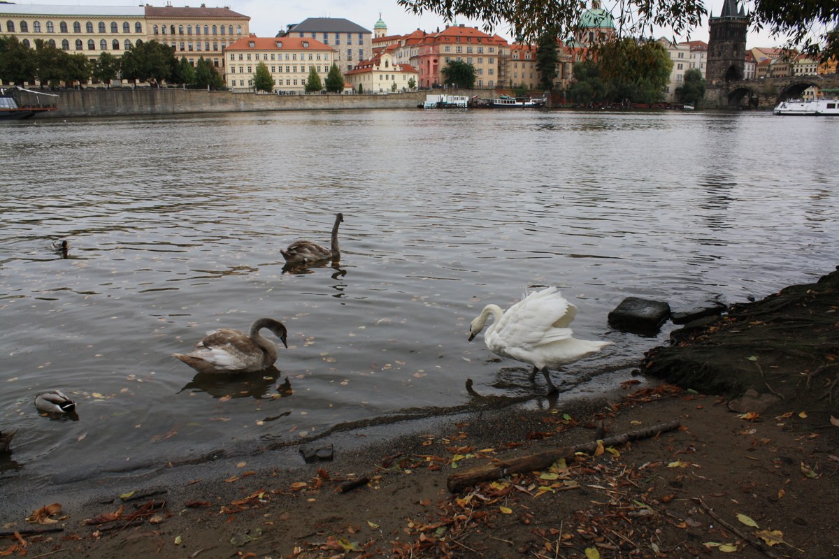 prague2_IMG_0669