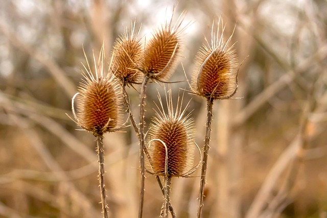 전립선비대증 증상 18