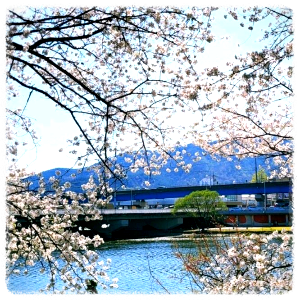 순천동천