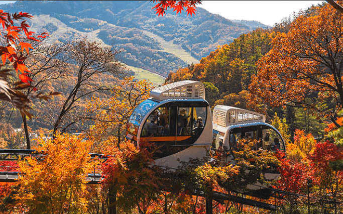 화담숲모노레일