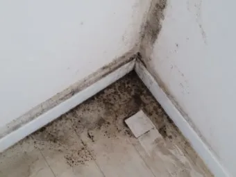 곰팡이 냄새 빨래통 환기와 햇빛 건조 베이킹소다 뿌리기_10