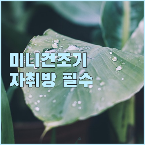 미니 건조기 추천! 클린피아 초소형 ..