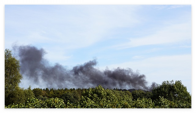 기후변화가 도시 교통 시스템에 미치는 영향과 대응책