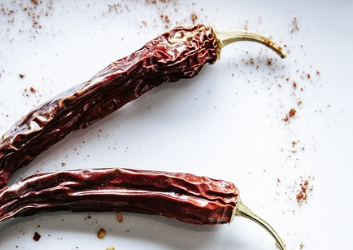 고추모종, 씨앗이 아닌 이유는 1