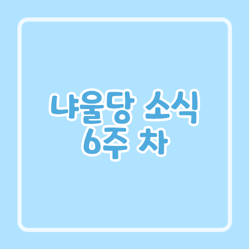 냐울당 소식 6주 차