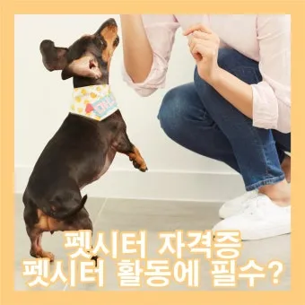 펫시터 자격 취득요건 교육기관 업무범위 수입전망_3