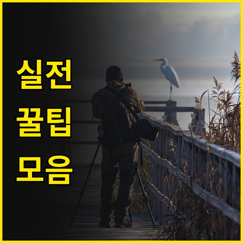 AI가 똑똑해져서 유산 지킨다? 워매..