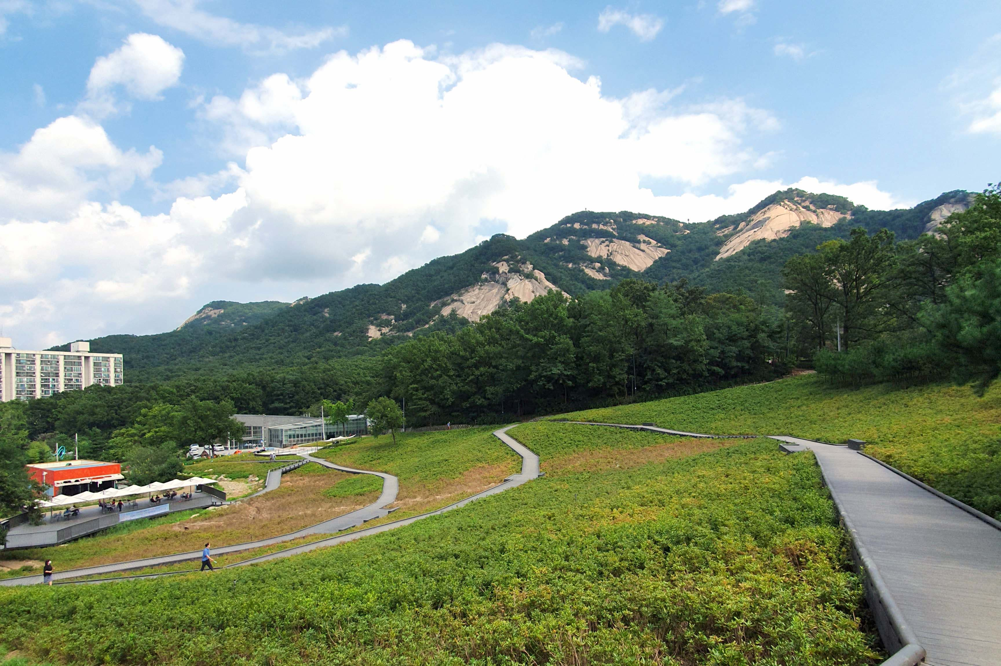 생방송투데이 불암산 철쭉제 나비정원