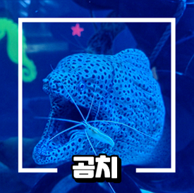 대구 아쿠아리움 입장료 할인