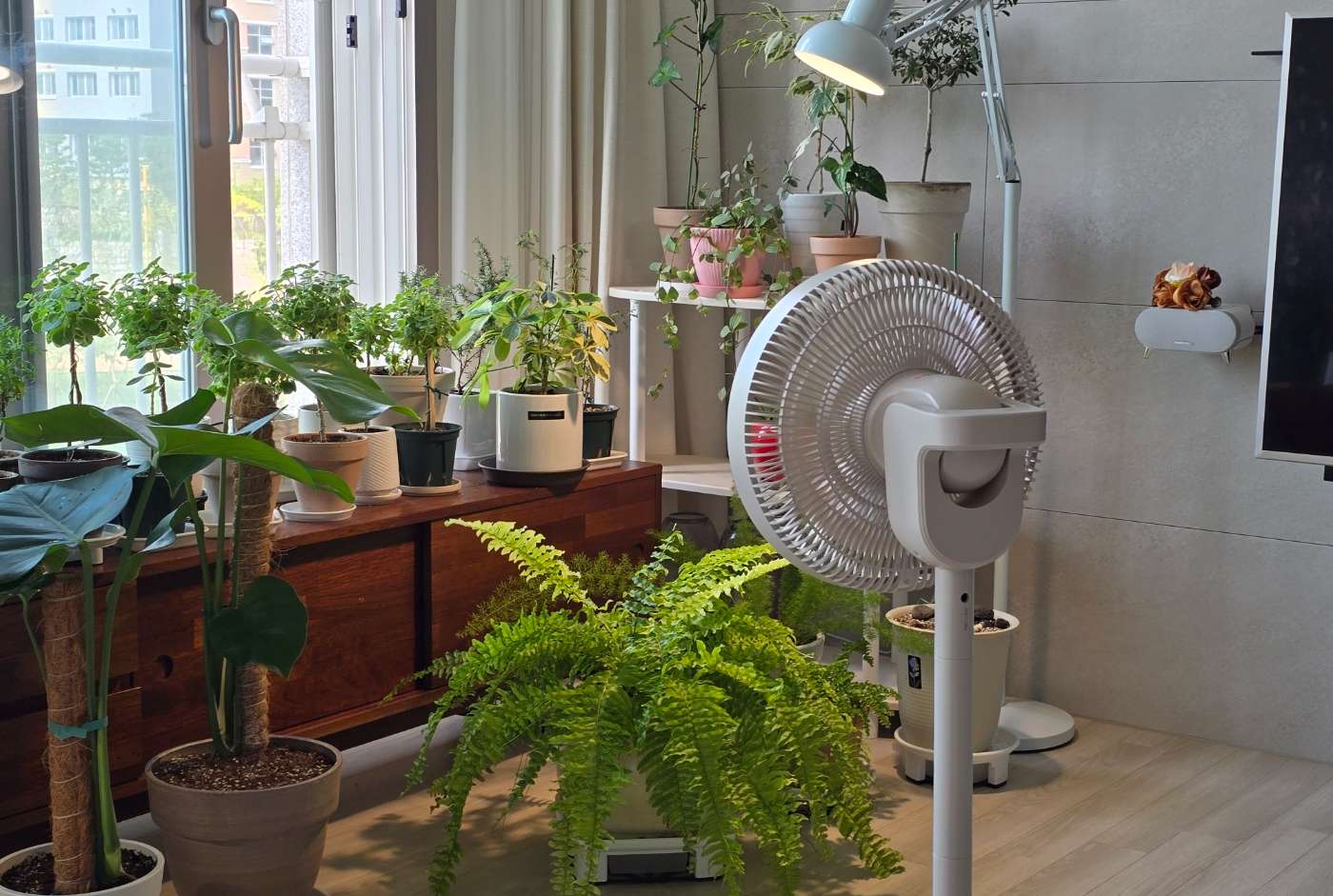 선풍기를 항상 틀어놓아요