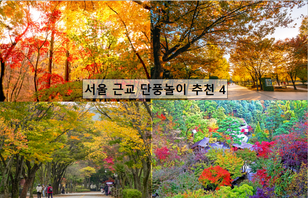 서울근교 단풍놀이 추천 4가지