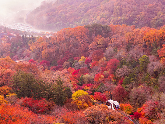 화담숲-전경