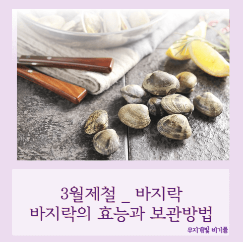 바지락의효능과보관방법
